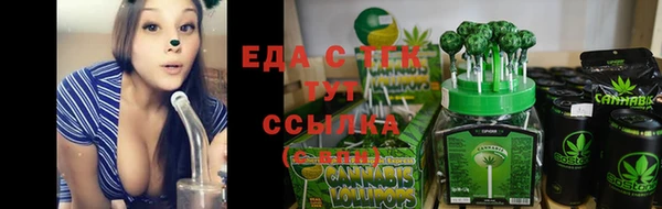 шишки Аркадак