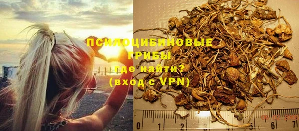 шишки Аркадак