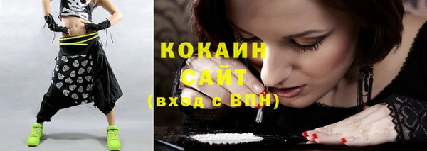 шишки Аркадак