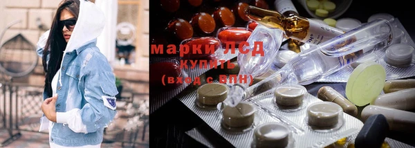 ешки Арсеньев