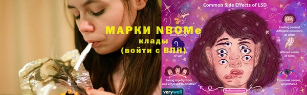 шишки Аркадак